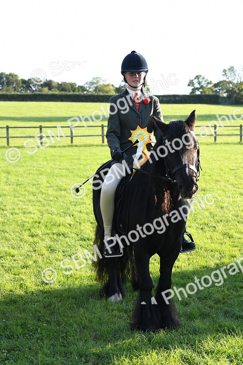 SBM_54171 - S23 - 1st Ridden Mountain & Moorland Pony