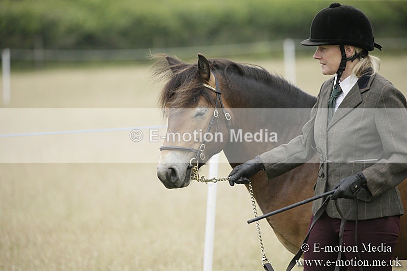 B230619-0044 - Bourne Valley Riding Club Summer Show 23/06/19