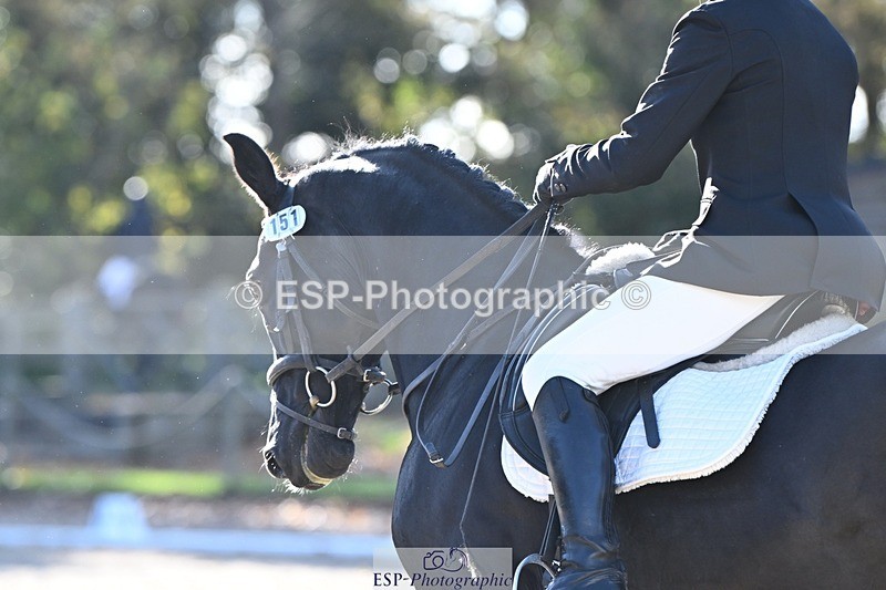 231110-124714-00796 - Cls 3 Novice 22