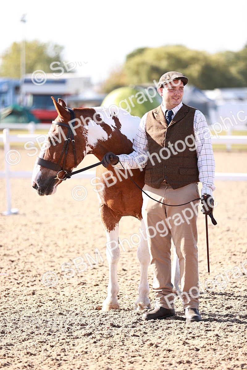 SBM_22068 - Class 703 - IH Coloured