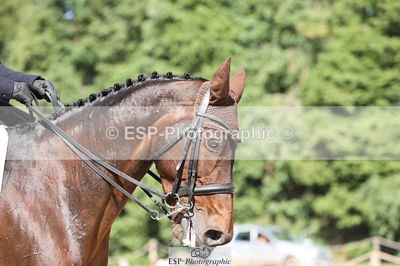 240719-155617-02994 - 237-Sue_Lanz-Wellshead_Foxtrot