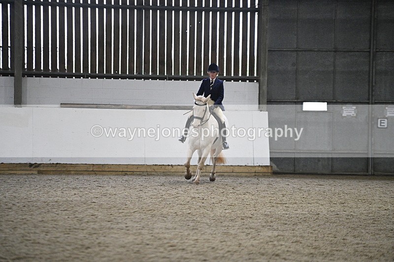 WJ7_3628 - Class 16 Ridden Coloured/ Odd Coloured