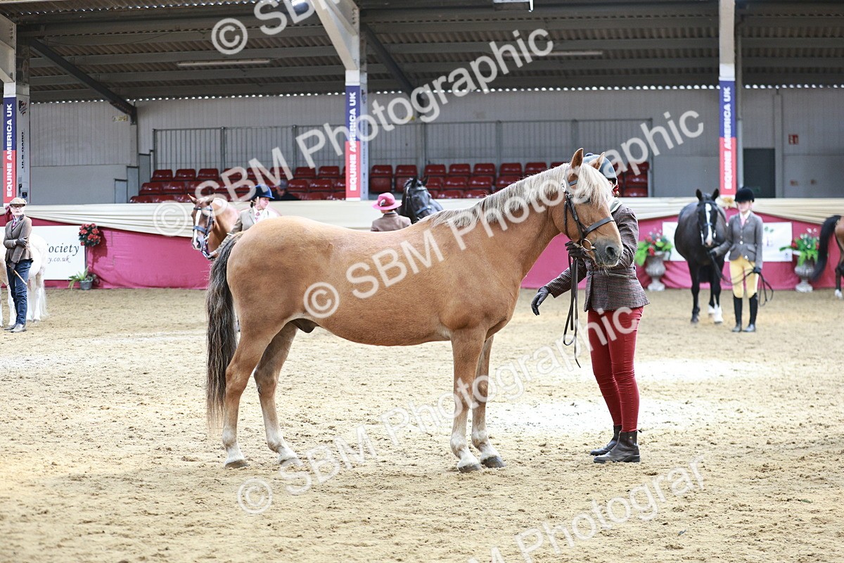 SBM_04769 - Class 7R - Regional IH Diamond