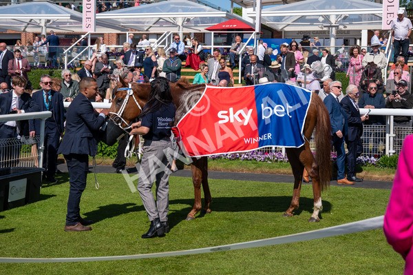 160525-Race 3-Kon Tiki-6383 - Race 3 3.13pm Sky Bet Fillies' Stakes