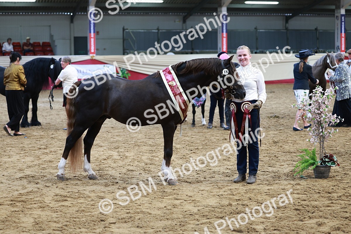 SBM_17611 - Class 951 - M&M IH Supreme Final