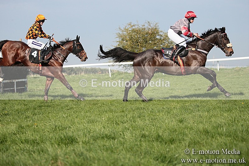 PtP 210418 509 - South & West Wilts Point-to-Point Larkhill 21/04/18