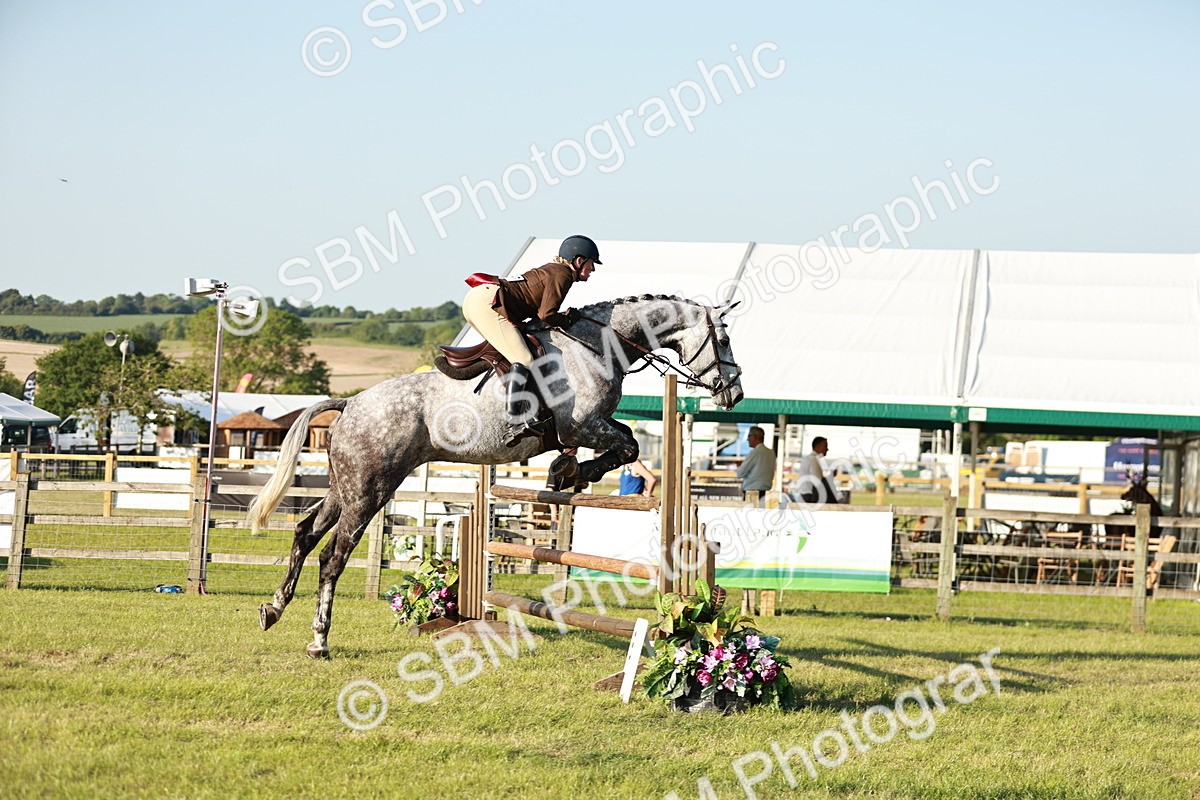 SBM_20355 - Class 117-119 - Sport Horse Working Hunter