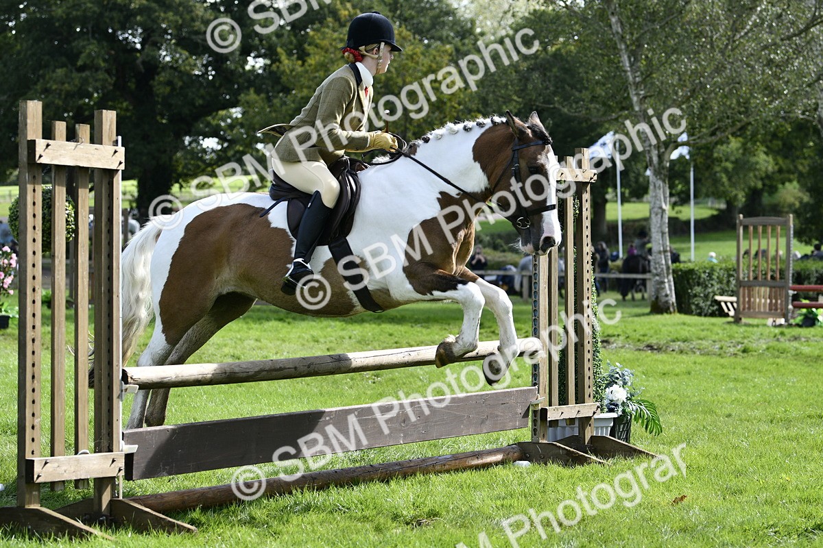 SBM_45692 - S33 - Working Hunter Pony