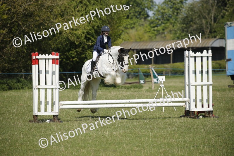 20250427-1994 - Class 13 - Novice Jumping 60cm