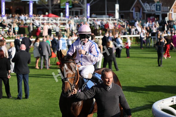 yr08102021r5-12 - Race 5 4.20pm Copper Knight - Winning Most Horse At York Handicap