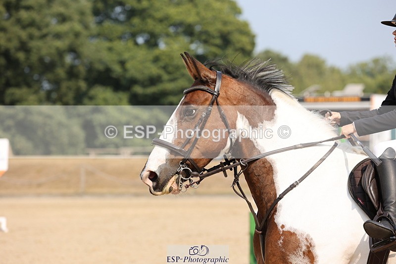 250816A-105212-00879 - Cls 3 Snr British Novice