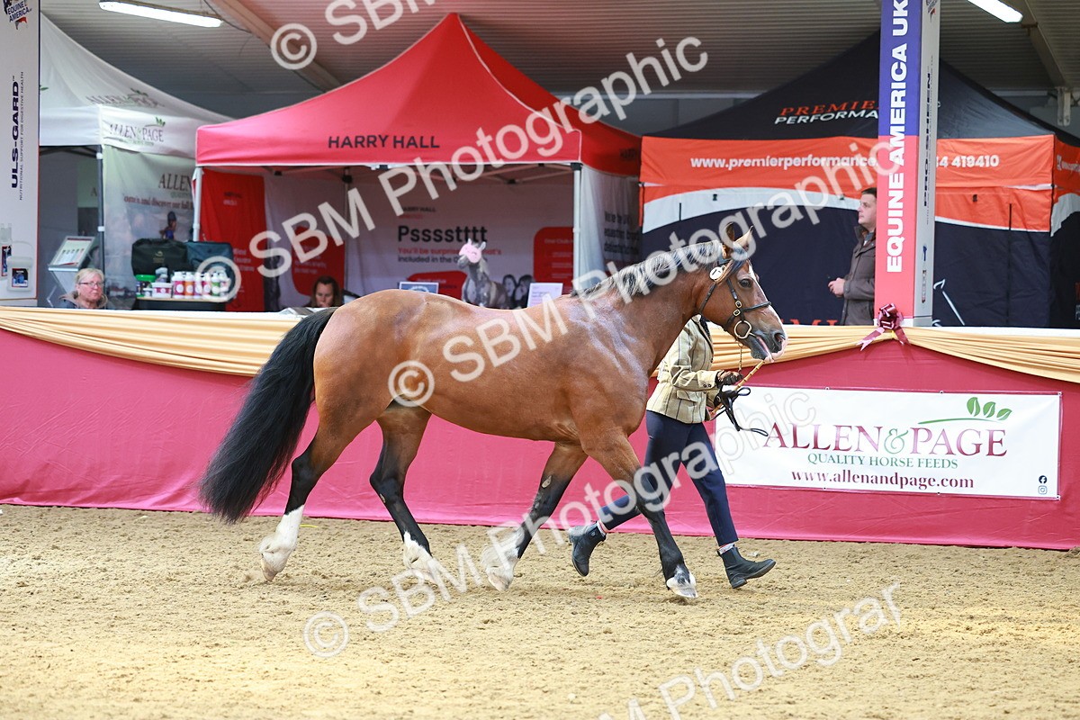 SBM_04184 - Class 9R - IH Pre-Vet