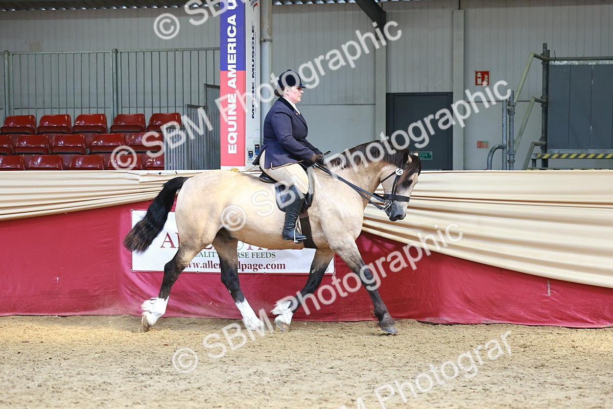 SBM_23303 - class 906 - Supreme Final - Ridden Pre Vet