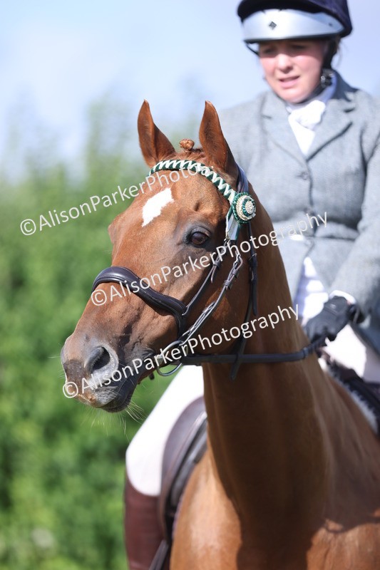 20250831-0862 - Class 14 - Ex Racehorse