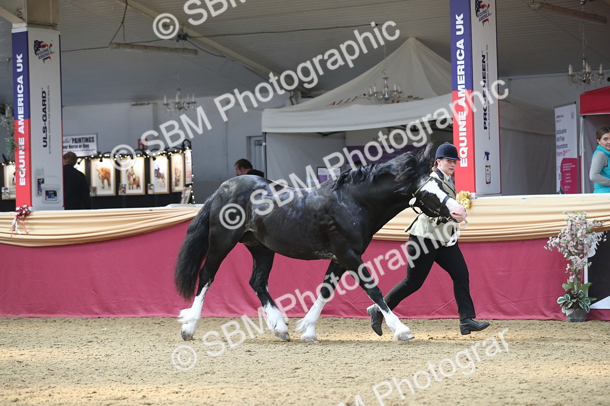 SBM_15255 - Class 501 M&M IH Supreme Final