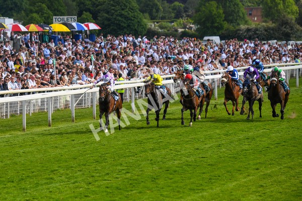 270523-Race 6-Quantum Impact-0875 - Race 6 4.25pm Royal Yorkshire Regiment Handicap