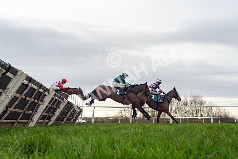 010126-Race 1-In The Age-8409 - Race 1