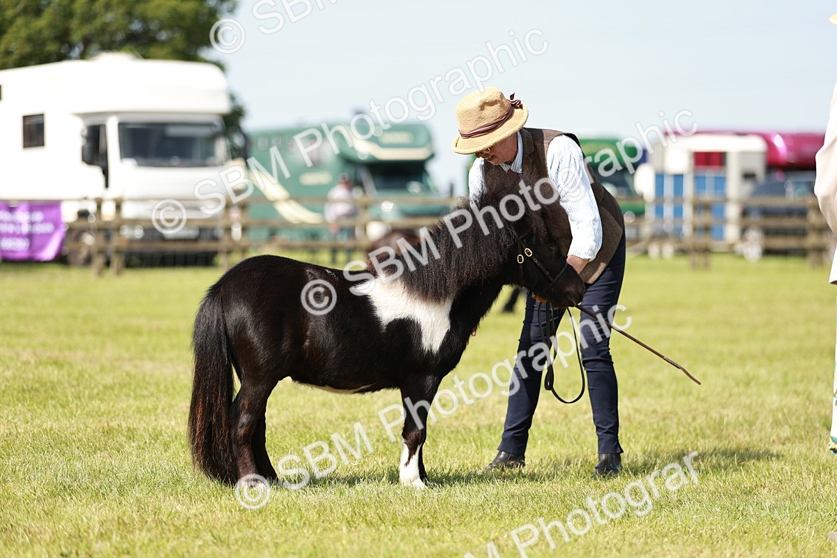 SBM_01913 - Class 14-23 - Mountain & Moorland In Hand Non Welsh