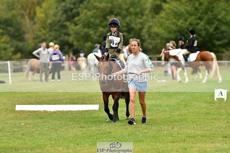 250820A-115135-05329 - 11am to 12