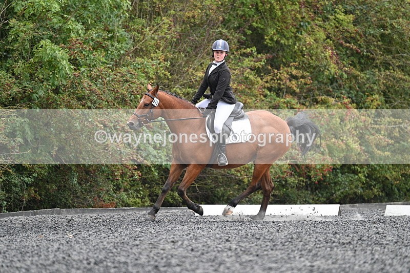 WJ7_3607 - Time 11:04 to 11:38