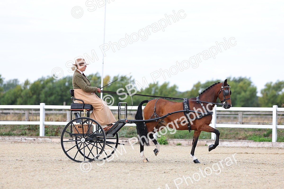 SBM_000244 - Class 2 - Exercise Vehicle 13.2hh & Under