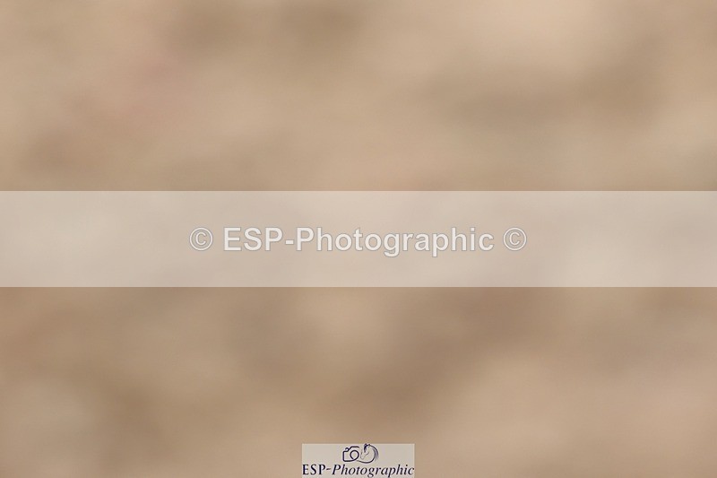 250622-142955-17195 - Cls 53 Medium 5, Start to 14.50