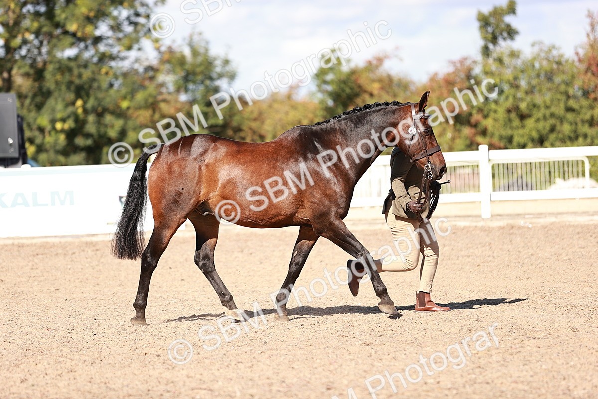 SBM_13288 - class 406 - IH Hunter
