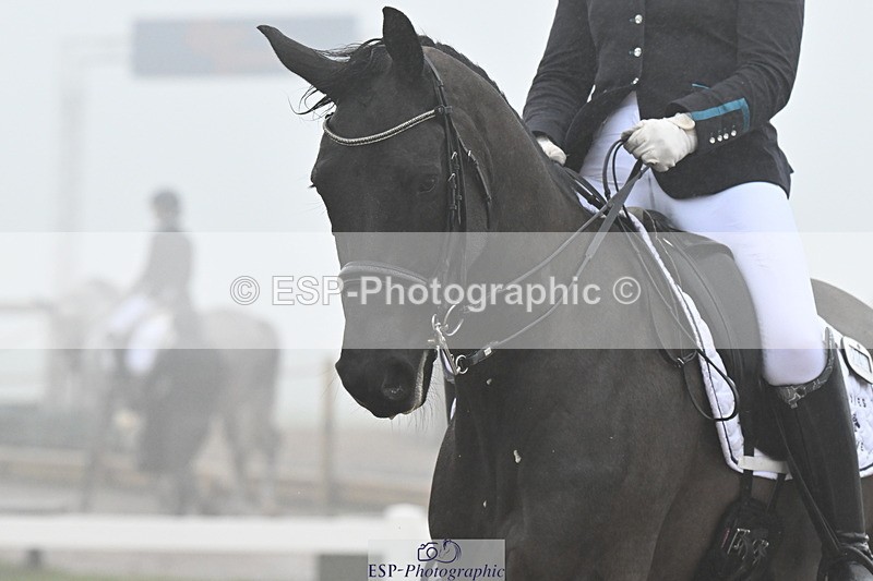 240217A-141717-03558 - 247-Fiona.Gair-BRS.Kingdom