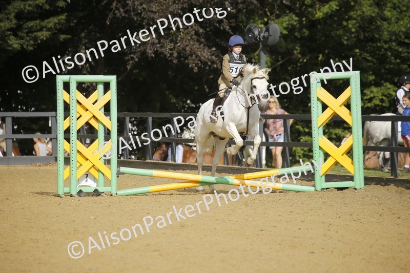 20250622-1250 - 40cm