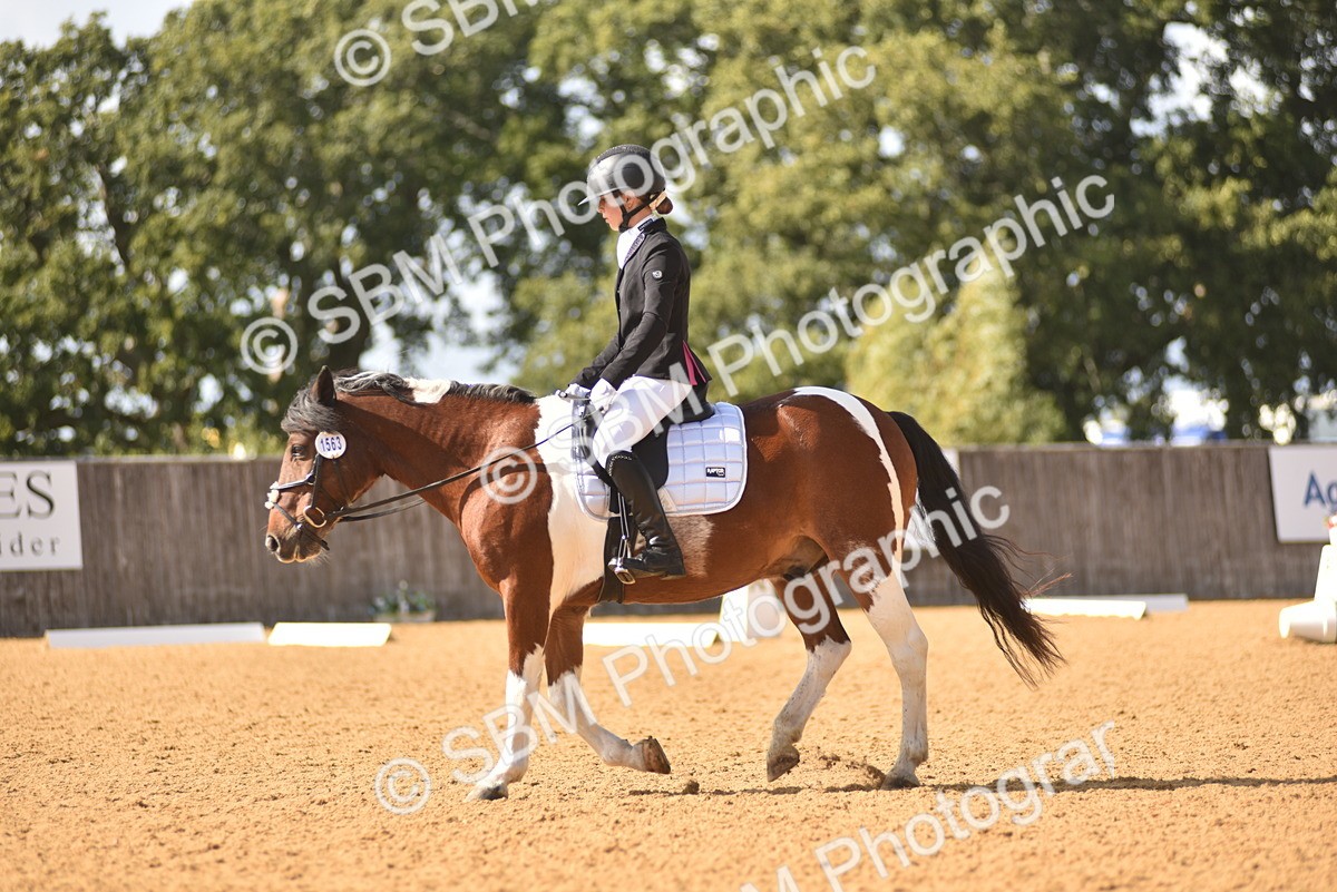 SBM_24256 - D4 - Small Tour Championship Intro 4