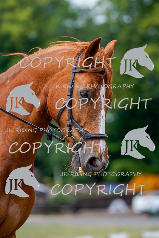 _DSC1257 - CLASS 4 NOVICE 1