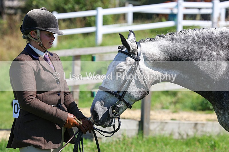 3E7A8452 - Class 4: Novice working Hunter