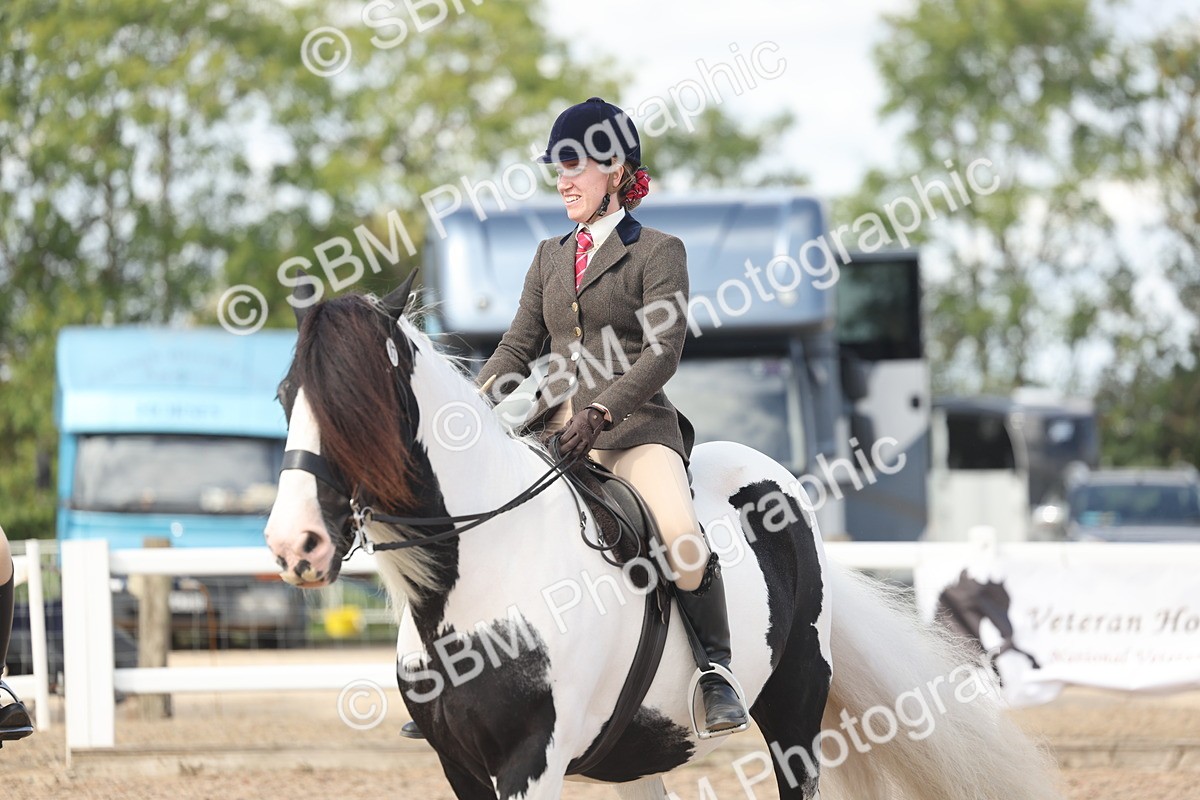 SBM_14824 - Class 308 - Ridden Coloured Horse