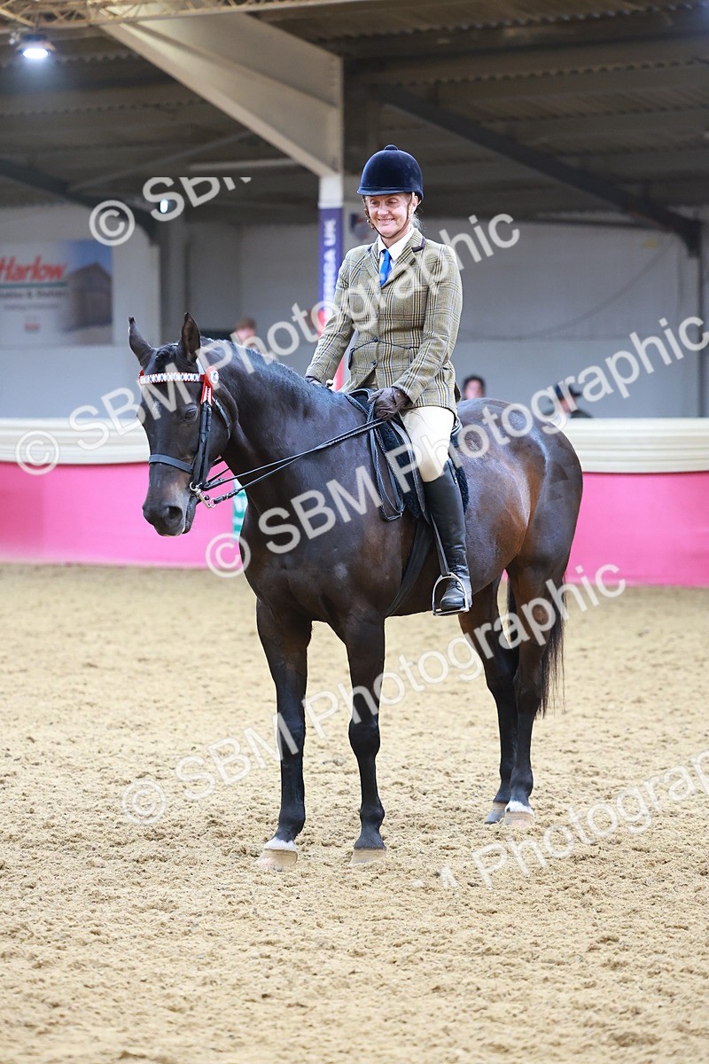 SBM_09836 - Class 102 - HOYS Veteran Qualifier - Ridden Veteran
