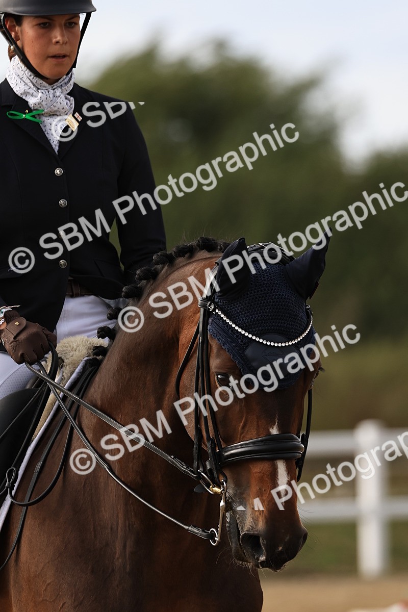 SBM_014417 - Class 6 - Elementary 53 - 15.44-17.04