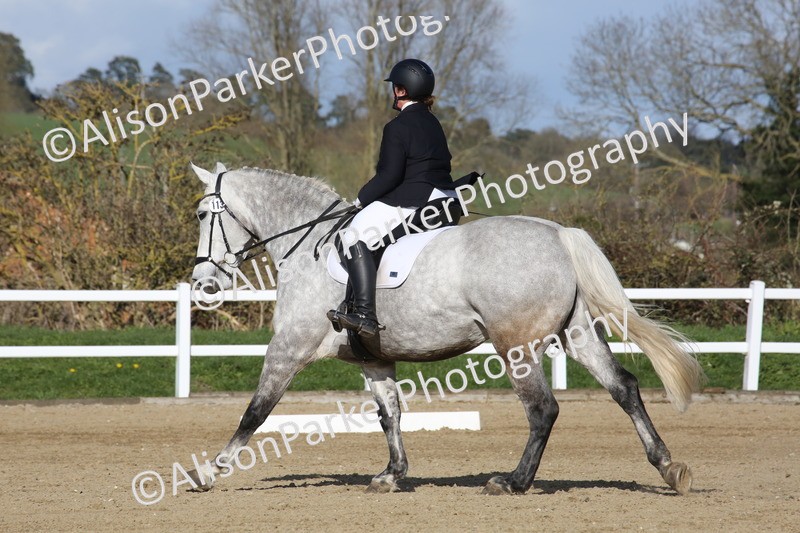 20260314-5258 - DR6 - Novice 2