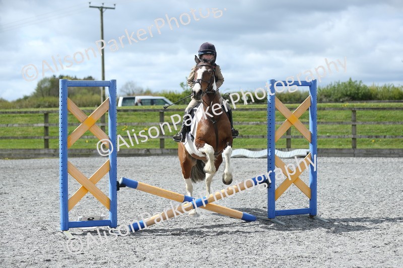 20260412-0731 - Show Jumping
