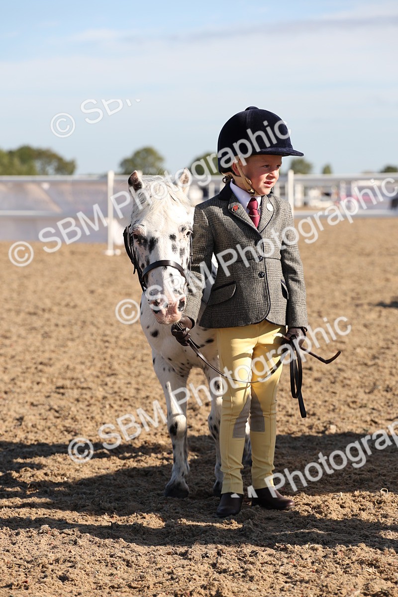 SBM_11690 - Class 203 - Young Handler 11 to 16 years