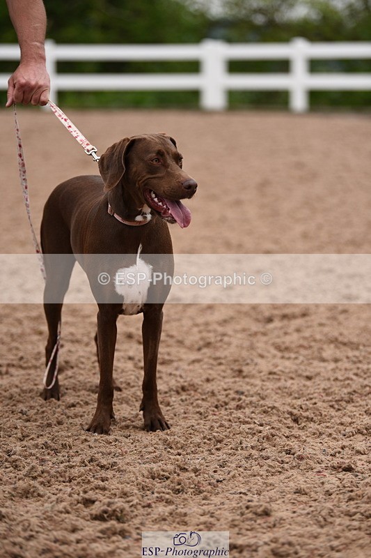 240518A-122346-01149 - Cls 4 Best Crossbred