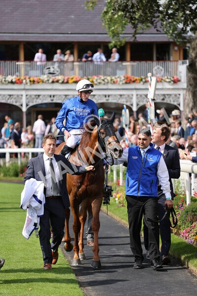 yr18082021r3-87 - Race 3 3.00pm Sky Bet Great Voltigeur Stakes