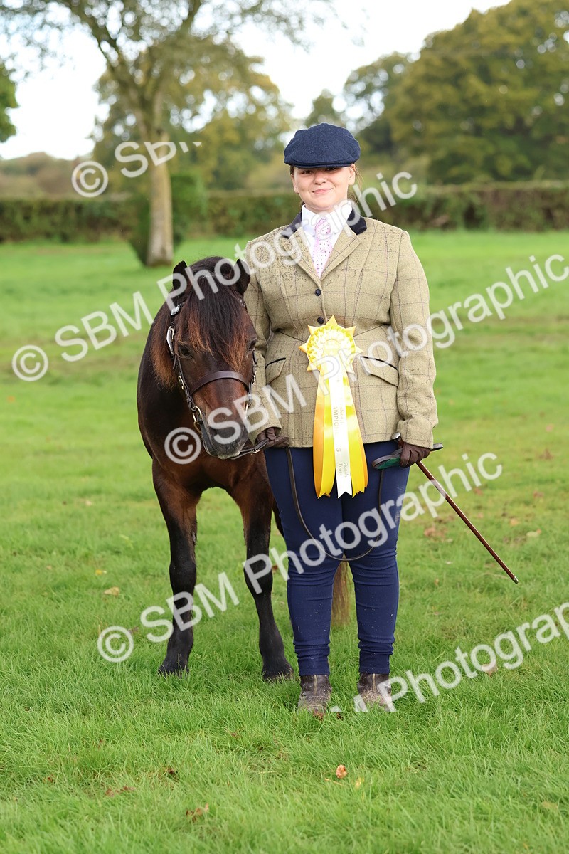 SBM_39374 - S24 - Young Veteran In Hand