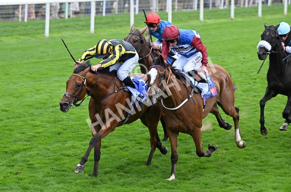 220825-012 Asgards Captain - Race 1 1.50pm Sky Bet Handicap