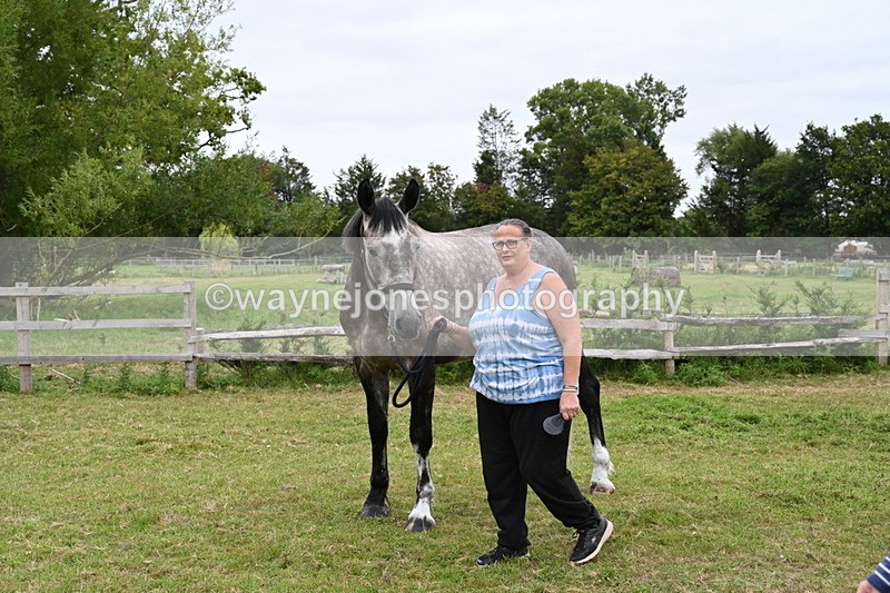 WJ6_2815 - Berks & Bucks - The Old farmhouse - Hound Exercise 20-08-25