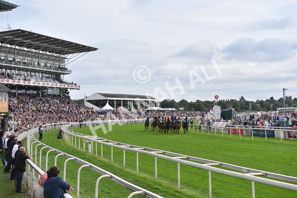 yr18082021r5-43 - Race 5 4.10pm Sky Bet Stakes