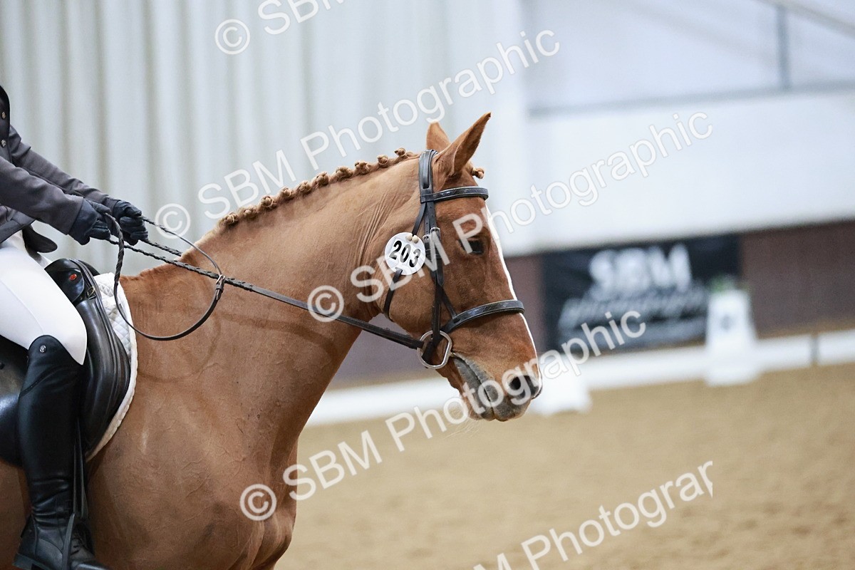 SBM_004661 - Ring 3 - International -  Working Hunter Classes 23-2-25