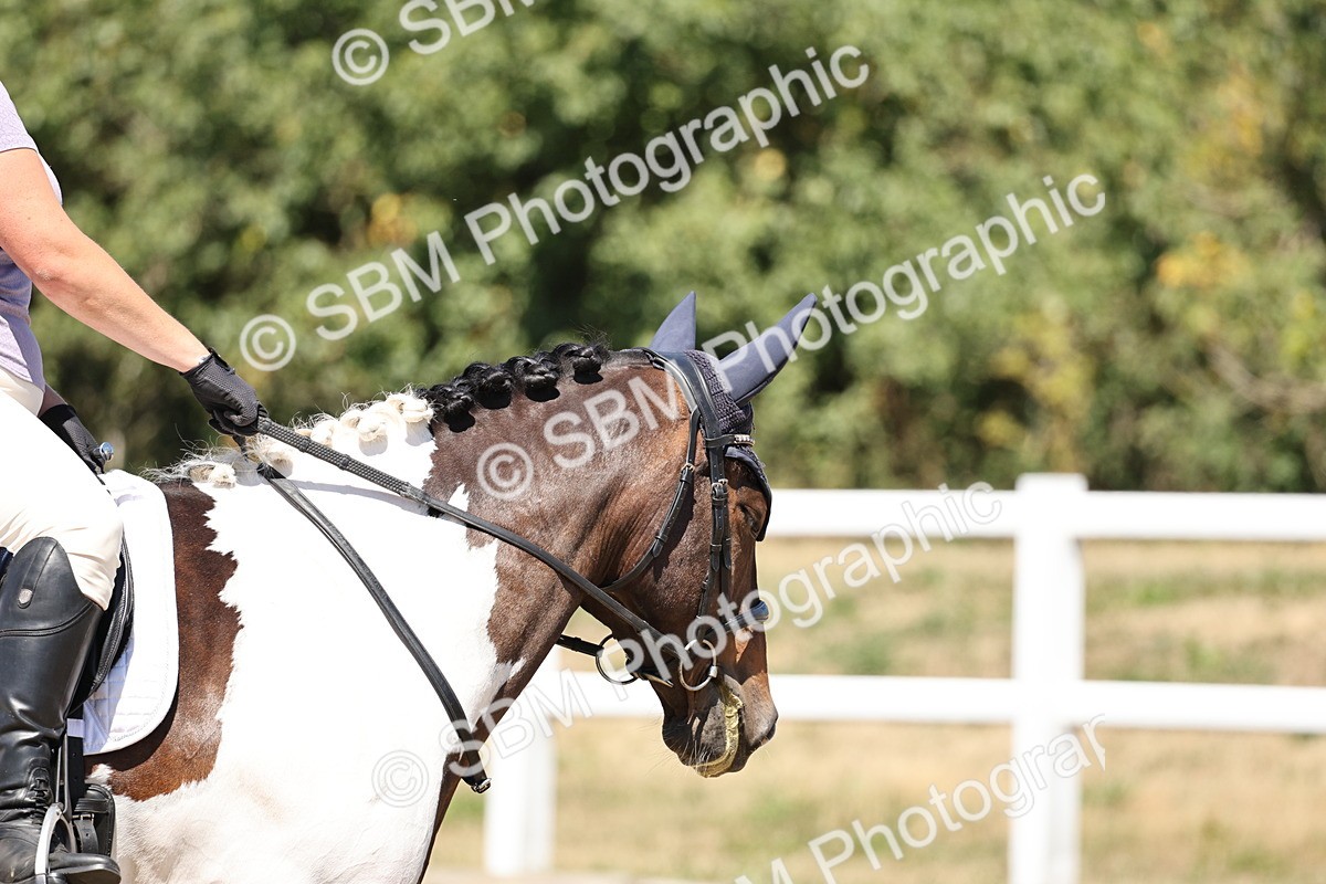 SBM_001644 - Prelim 4 - 11.25-13.24