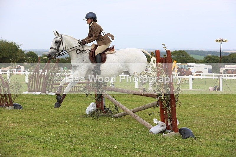 JPP_4161 - Class 25: Working Show Horse