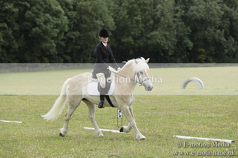 BVR160717-1209 - Class 2 Dressage 16/07/17