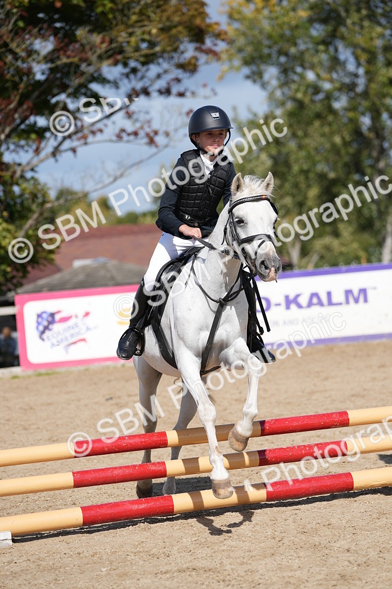 SBM_18225 - J58 - Clear Round 50cm