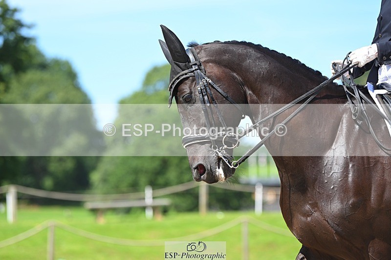 230811-122606-01281 - Cls 4 Adv Medium Silver